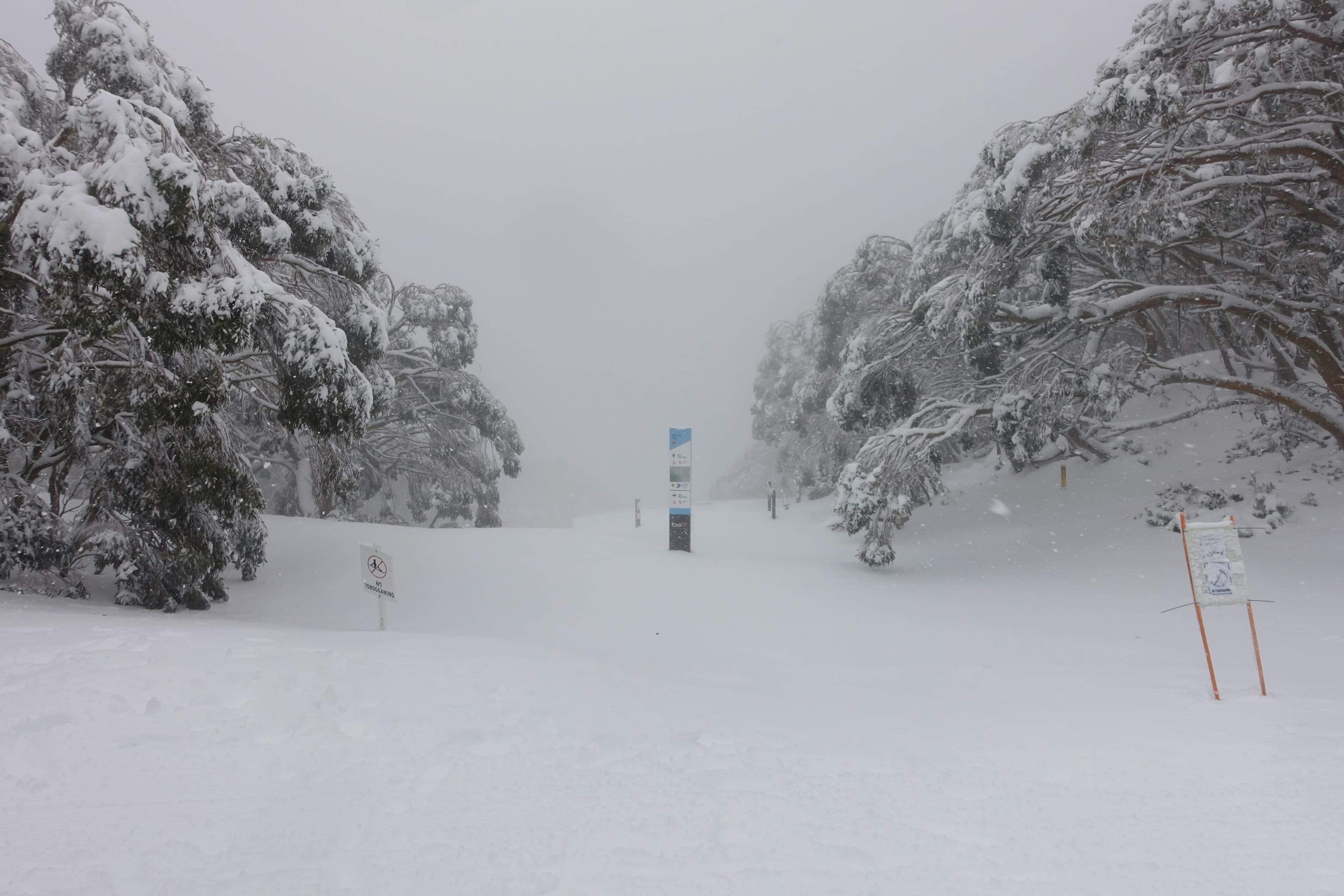 Mount Baw Baw